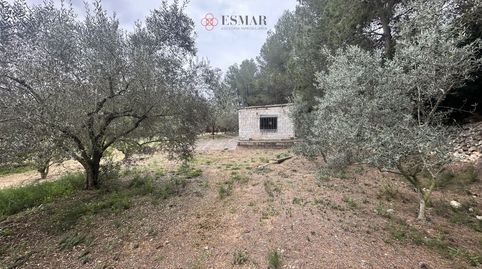 Terreno Rústico en venta en Segorbe.