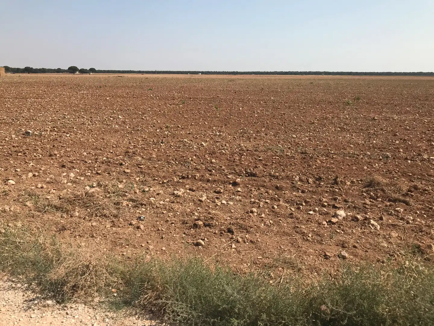 Terreni e lotti in vendita a Las Mesas, imagen 23