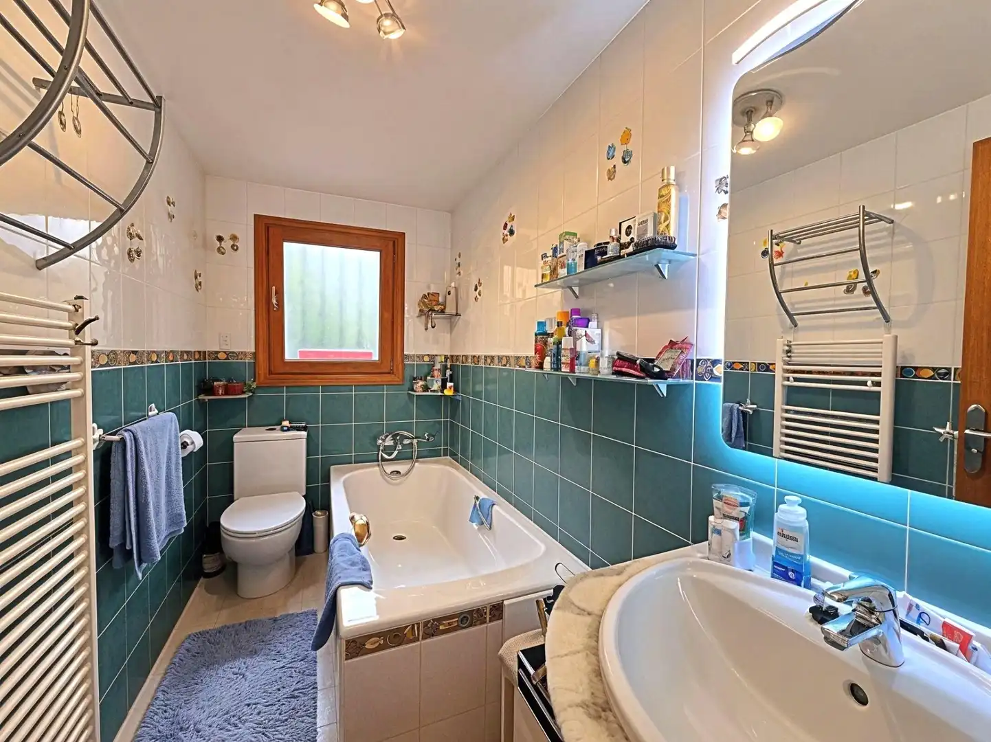 Villa avec piscine à vendre à Carrer de Teodor Canet 45, imagen 19
