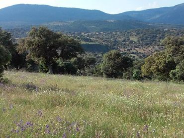 Terreni e lotti in vendita a Los Cigarrales - La Bastida