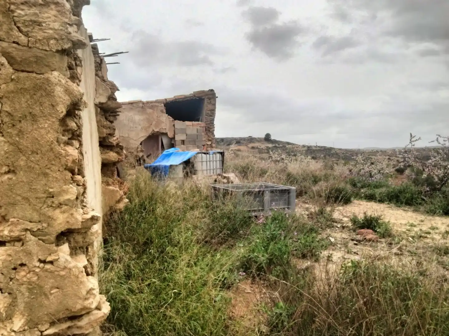 Terrenys i solars en venda a Bullas, imagen 15