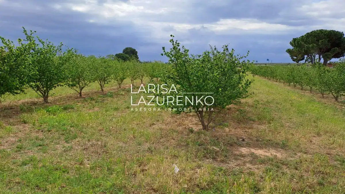 Finca rústica en venda en Vinyols i els Arcs