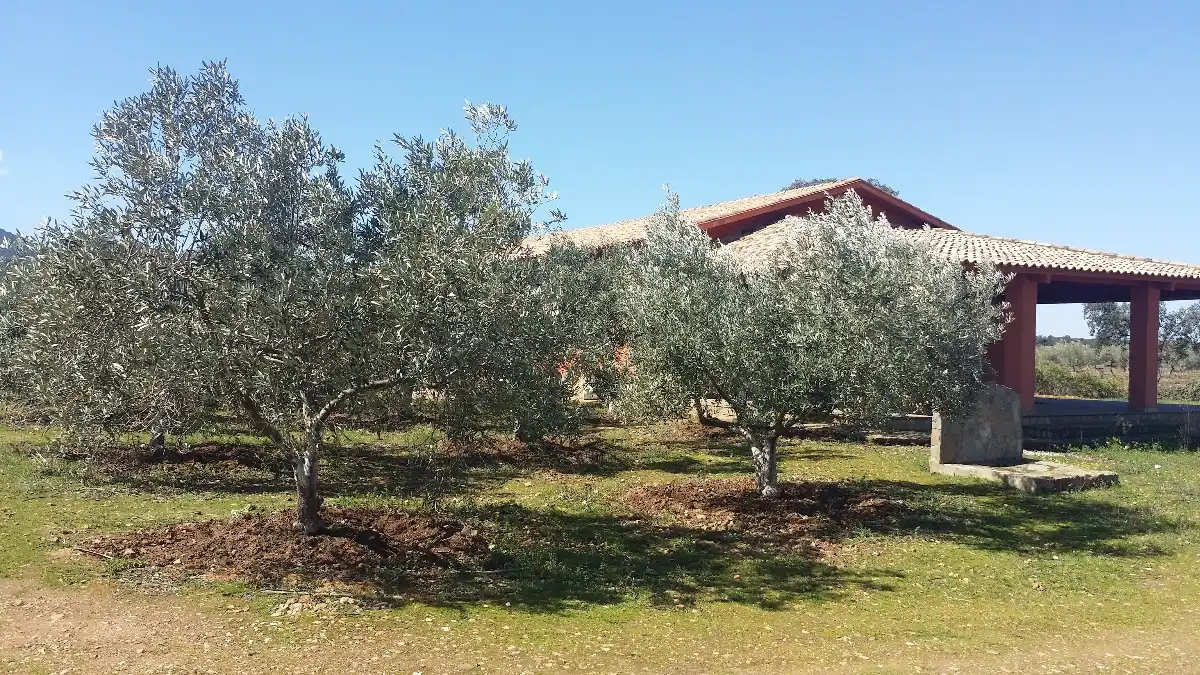 Terreno residenziale in vendita a Peñarroya-Pueblonuevo, imagen 18