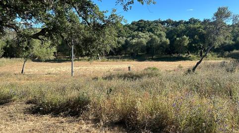 Foto 5 de Finca rústica en venta en Alcalá de los Gazules, Cádiz