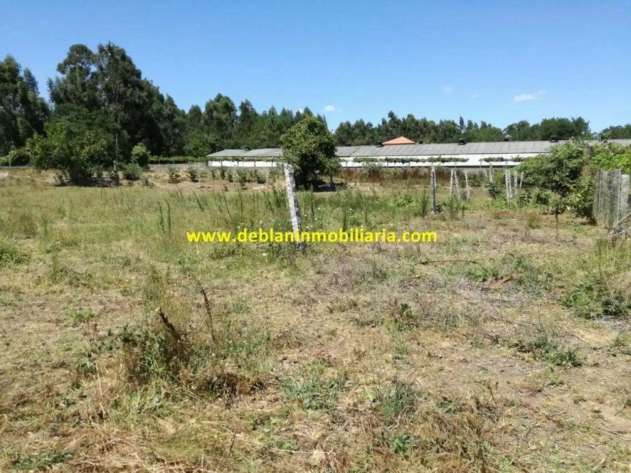 Terreno rustico in vendita a Tomiño, imagen 13