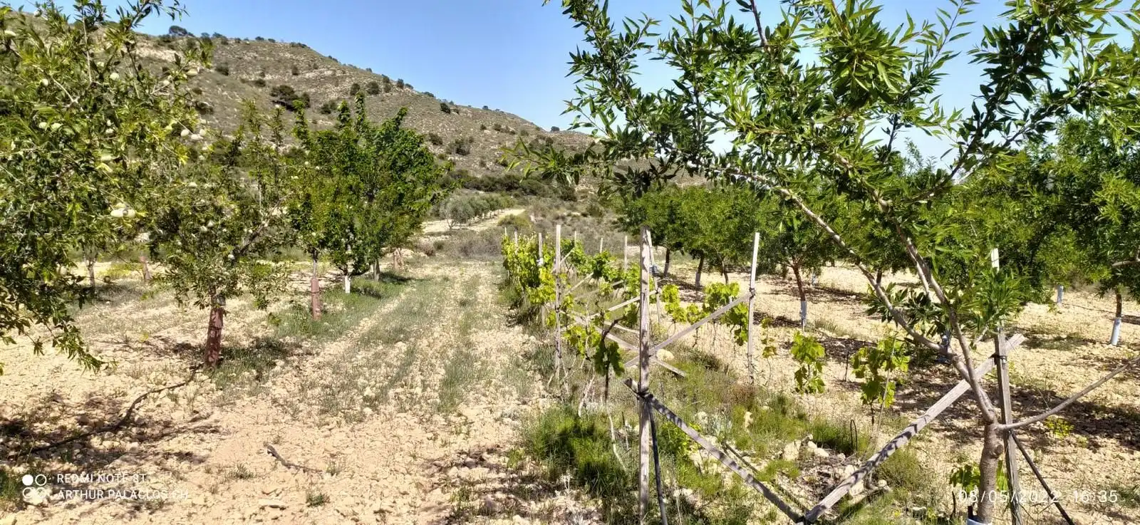 Terreny rústic en venda a La Romana, imagen 39