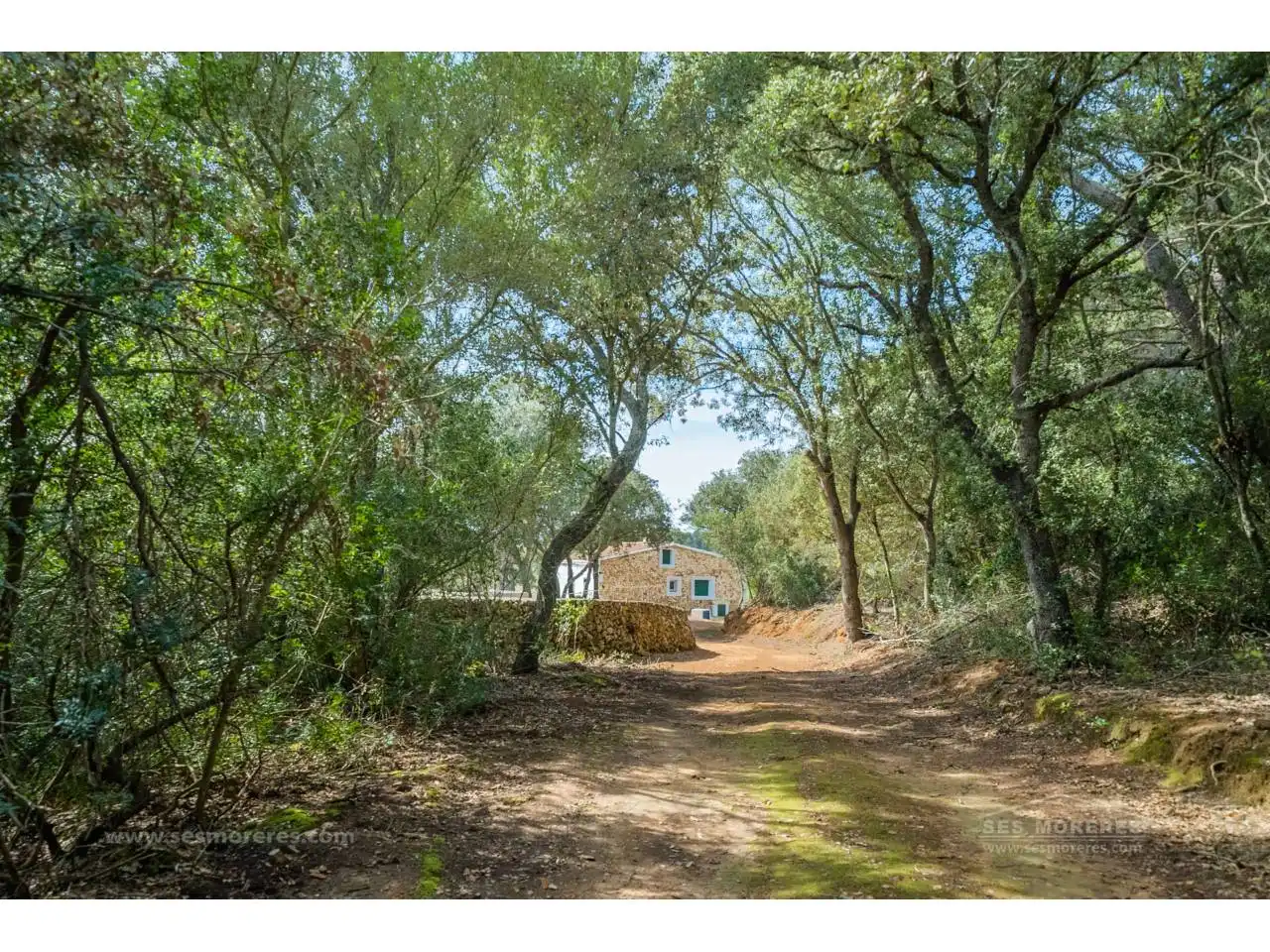 Vista exterior de Finca rústica en venda en Es Mercadal amb Jardí privat i Terrassa