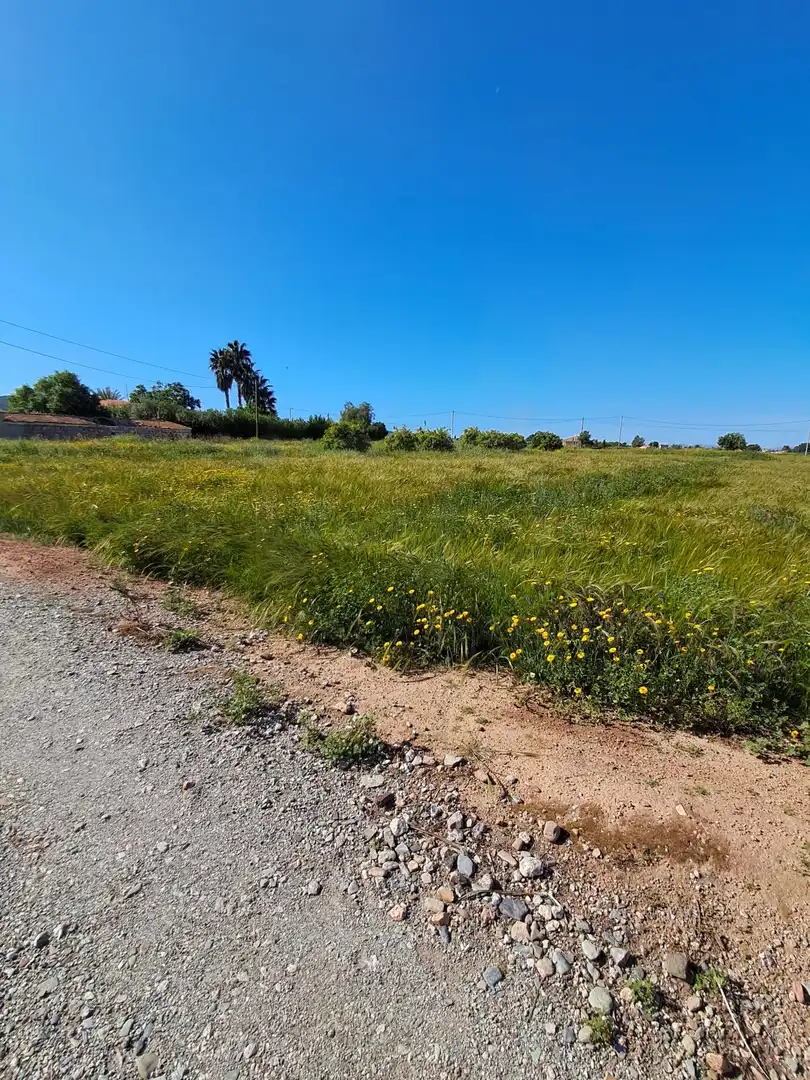 Rustikales Grundstück zum Verkauf in Pedanías Sur, imagen 18