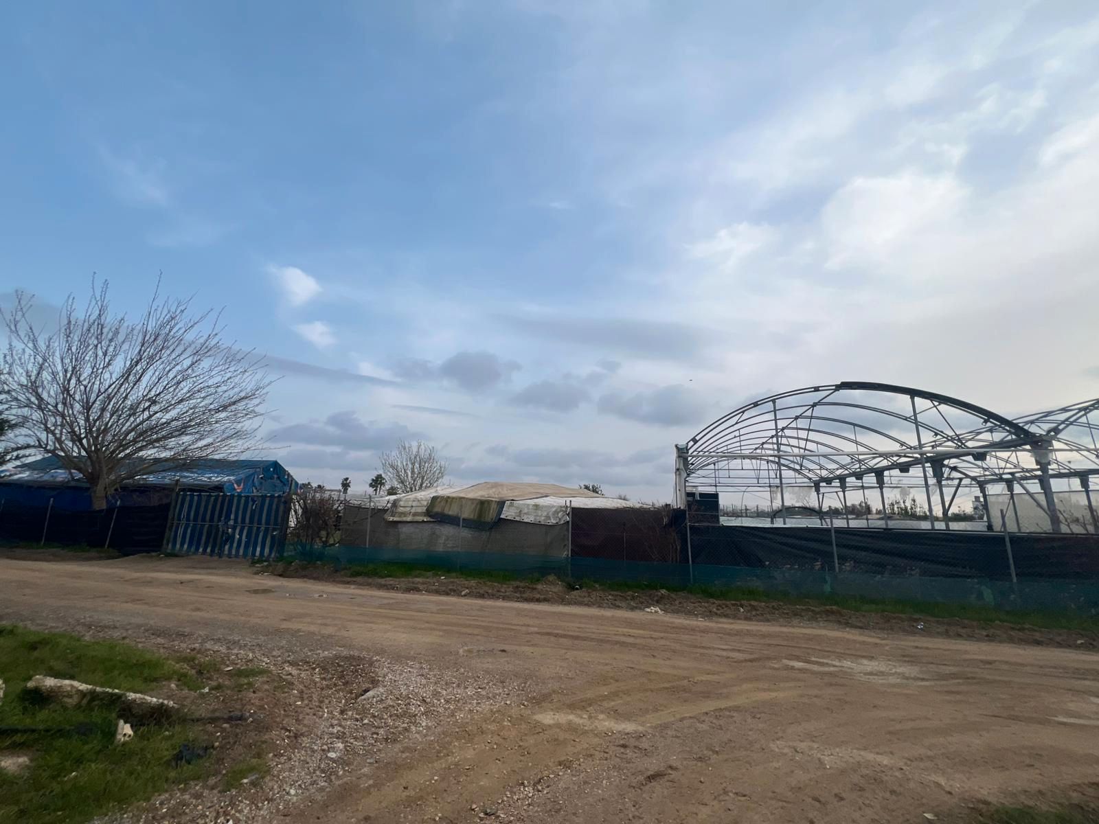 Land for sale in Los Palacios y Villafranca