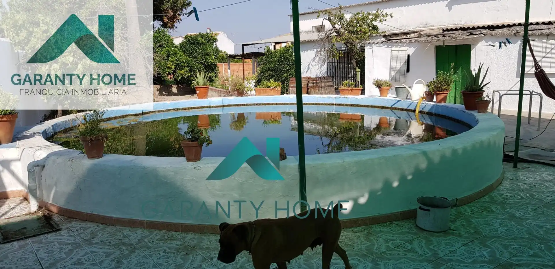Piscina de Casa o chalet en venta en Lucena