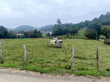 Terreno rústico en venta en Novales - Polígono 20 Parcela 144 EL CASTRO