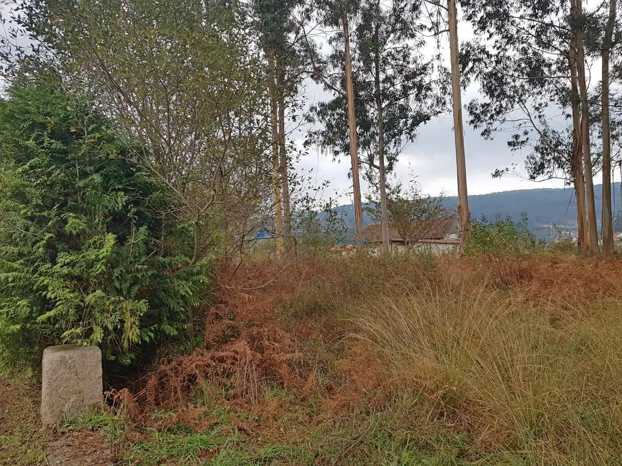 Terreny residencial en venda a Tomiño, imagen 2
