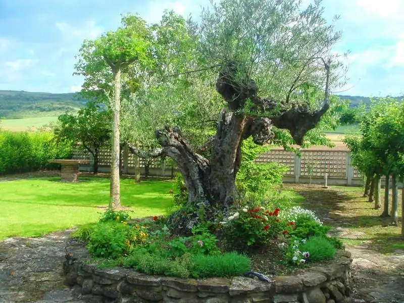Jardín de Casa o chalet en venta en Berantevilla con Calefacción, Terraza y Amueblado