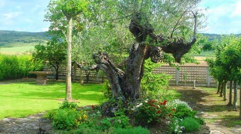 Foto 4 de Casa o xalet en venda a Berantevilla, Araba - Álava