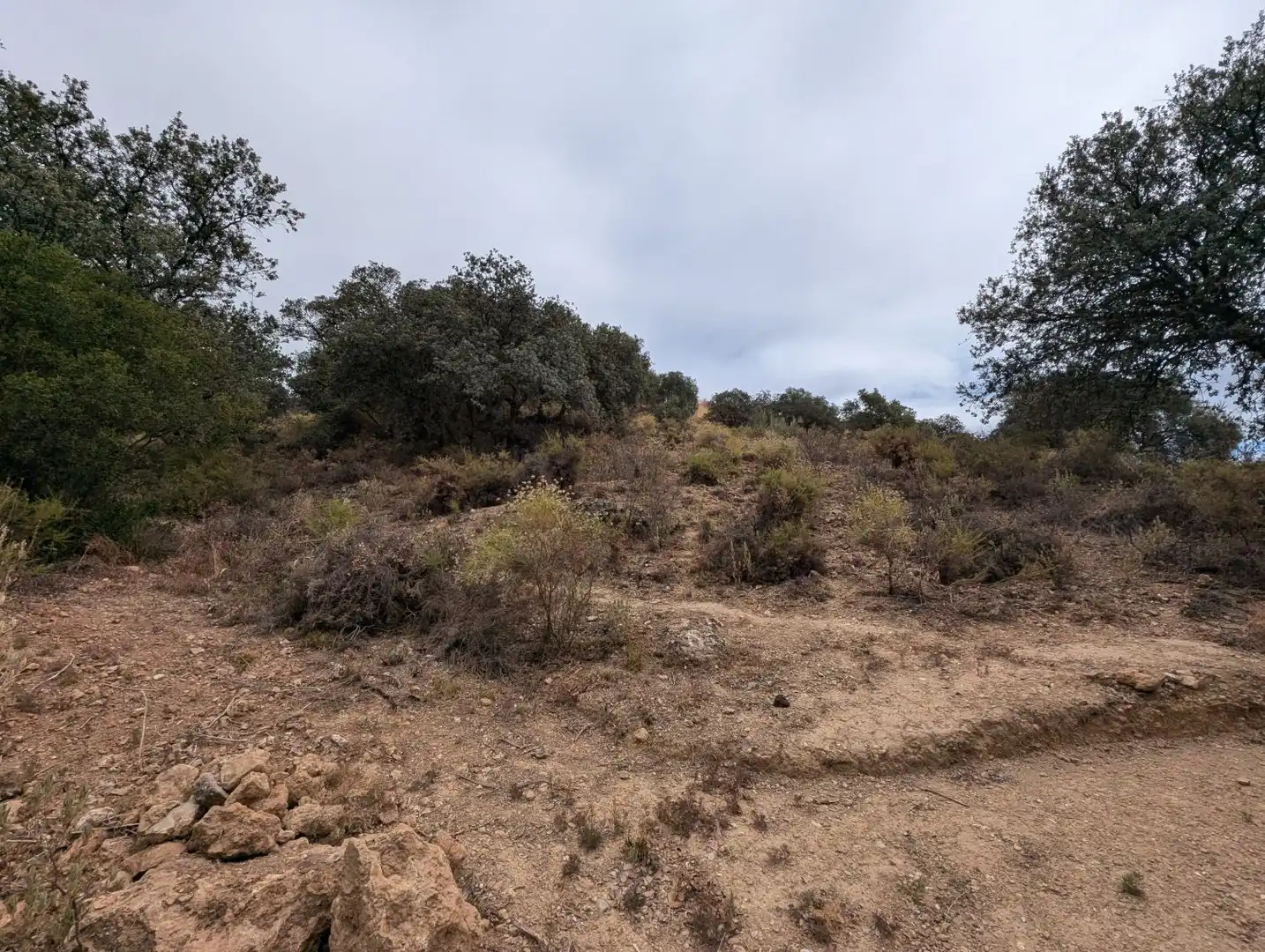 Casa o xalet en venda en Loja amb Calefacció, Jardí privat i Terrassa