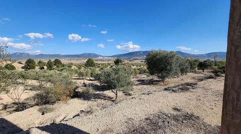 Foto 4 de Casa o chalet en venta en N/a, -1, San Francisco, Villena