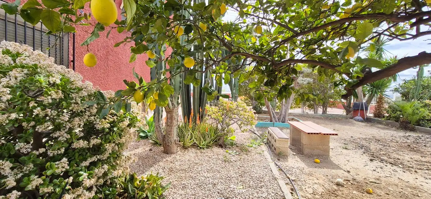 Jardí de Casa o xalet en venda en Elche / Elx amb Aire condicionat, Jardí privat i Traster