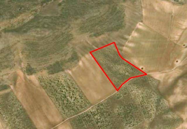 Terreno en Venta en Orce