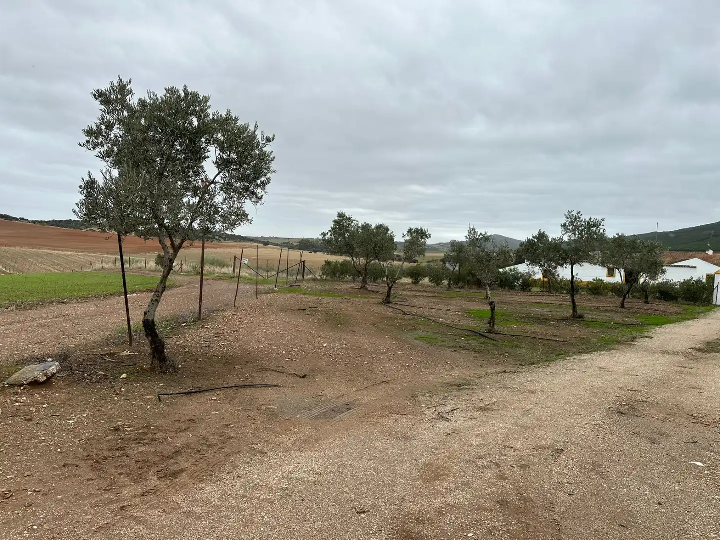 Chalet en venta en Don Benito, imagen 19