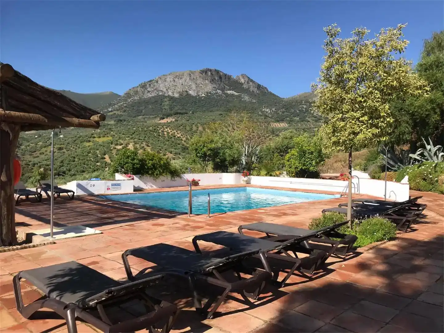 Piscina de Finca rústica en venta en Algámitas con Aire acondicionado, Jardín privado y Piscina