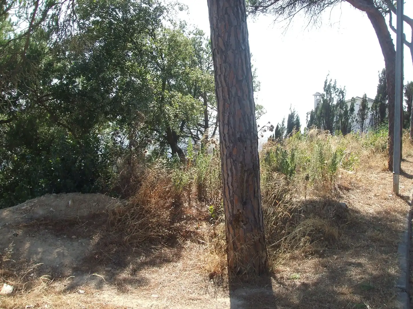 Terreno residencial en venta en Mas Mora - Sant Daniel, imagen 3