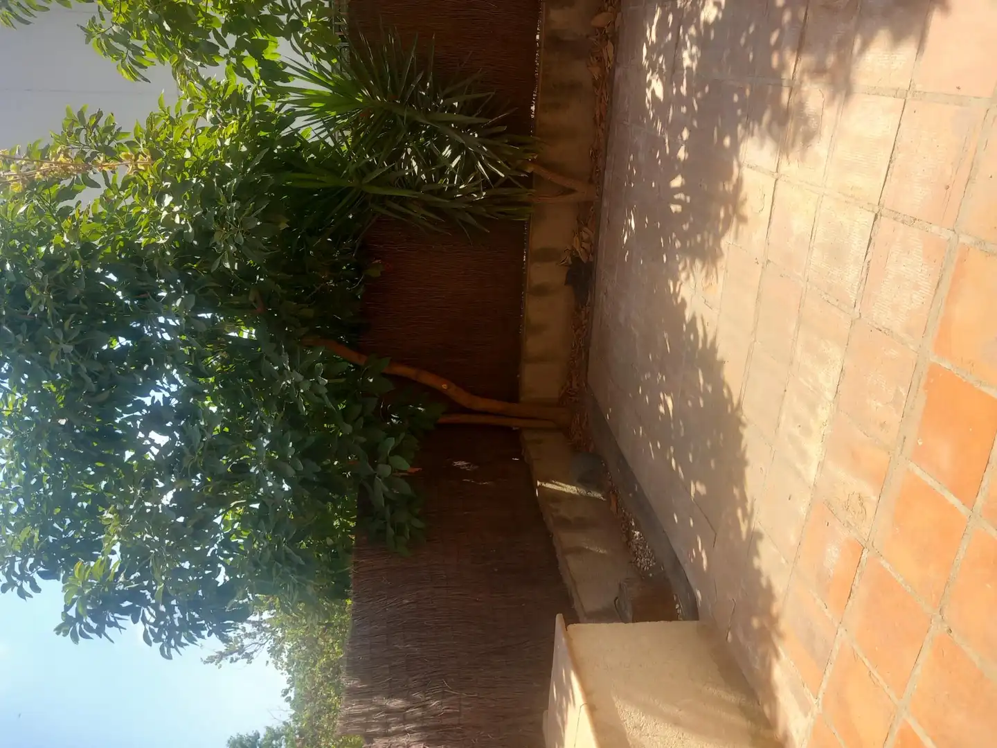 Piso con jardín en venta en El Papiol, imagen 7