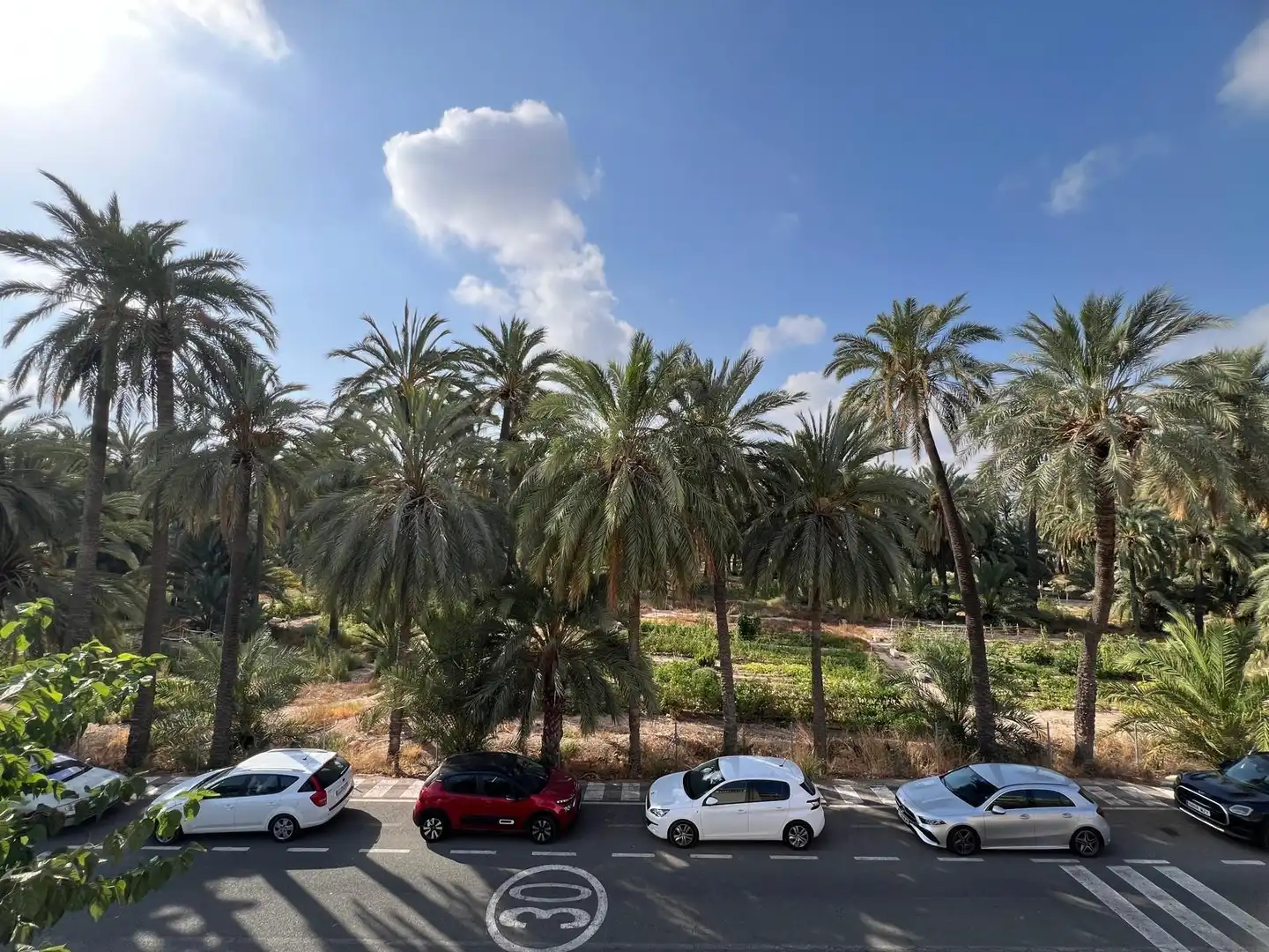 Exterior view of Flat for sale in Elche / Elx  with Terrace