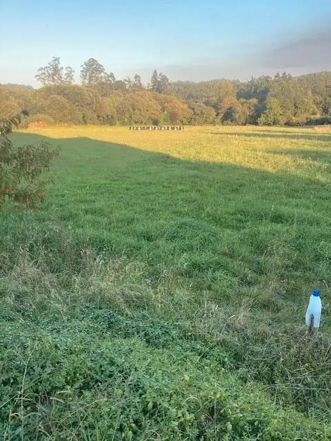 Wohnbaugrundstück zum Verkauf in Areosa 4, imagen 10