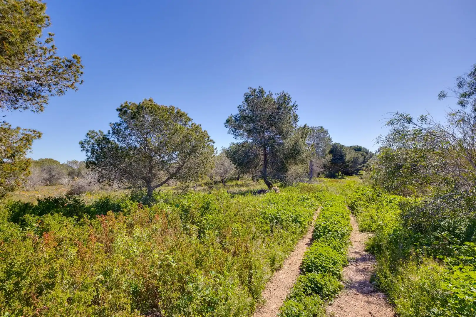 Adosado con jardín en venta en Calle LISZT, imagen 37