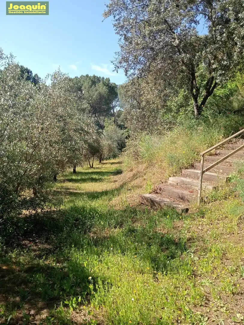 Finca rústica en venda en Córdoba