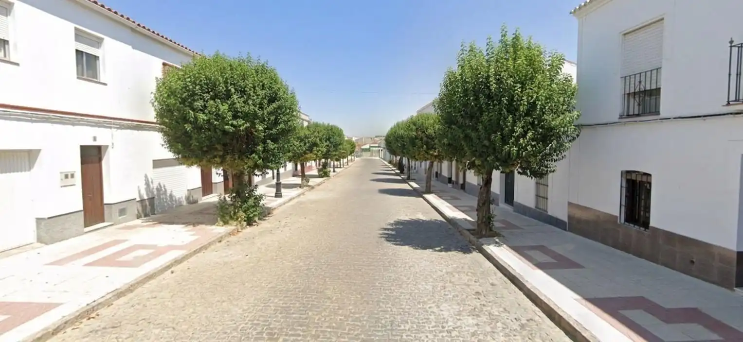 Vista exterior de Piso en venta en Monesterio