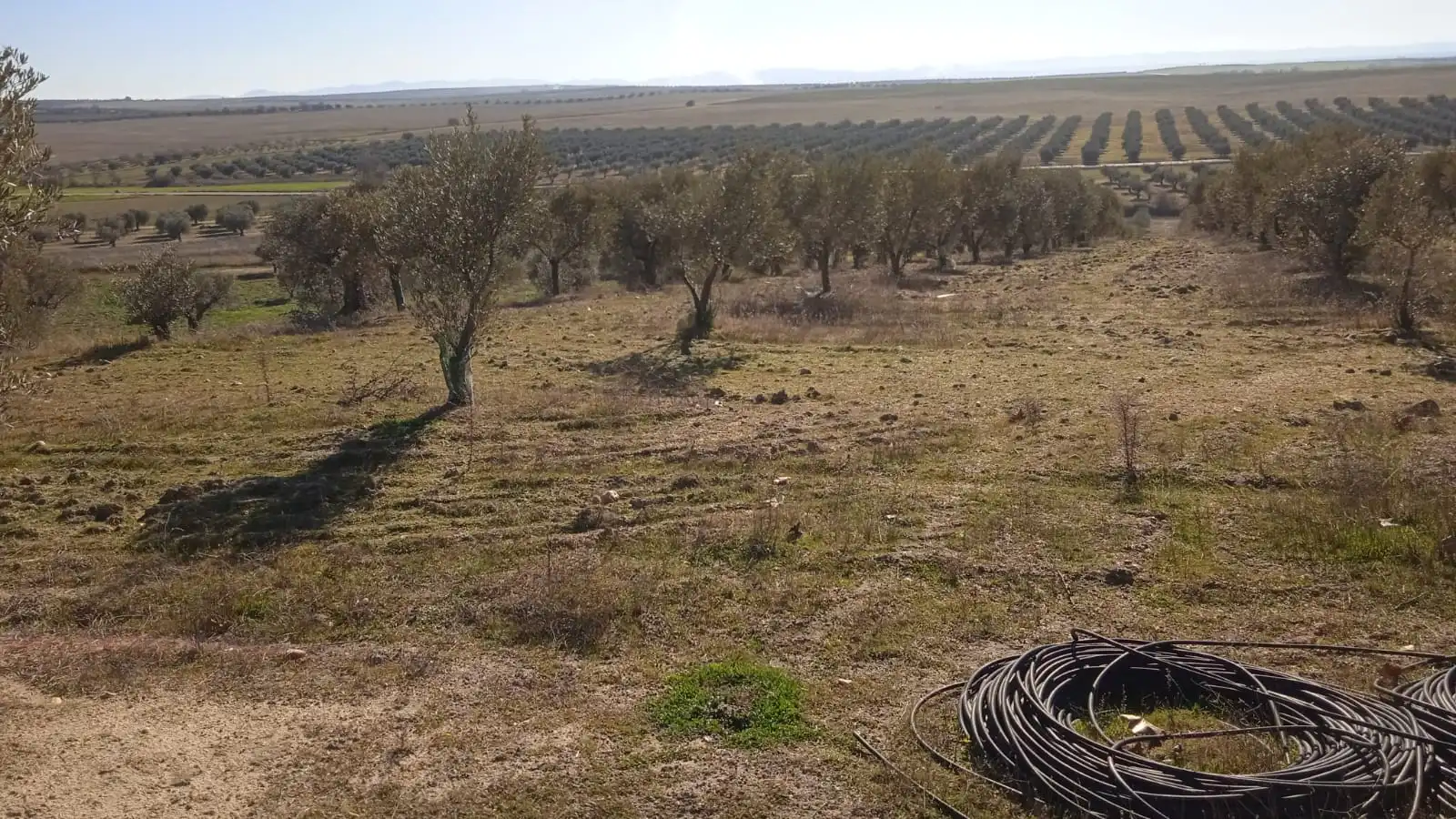Terreno en venta en Illán de Vacas