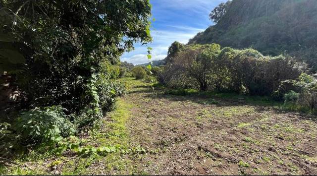 Terreno residencial en Venta en Lugar El Tuneral, 20 en San Lorenzo