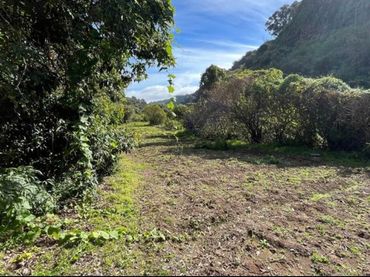 Terreno residenziale in vendita a Lugar El Tuneral 20