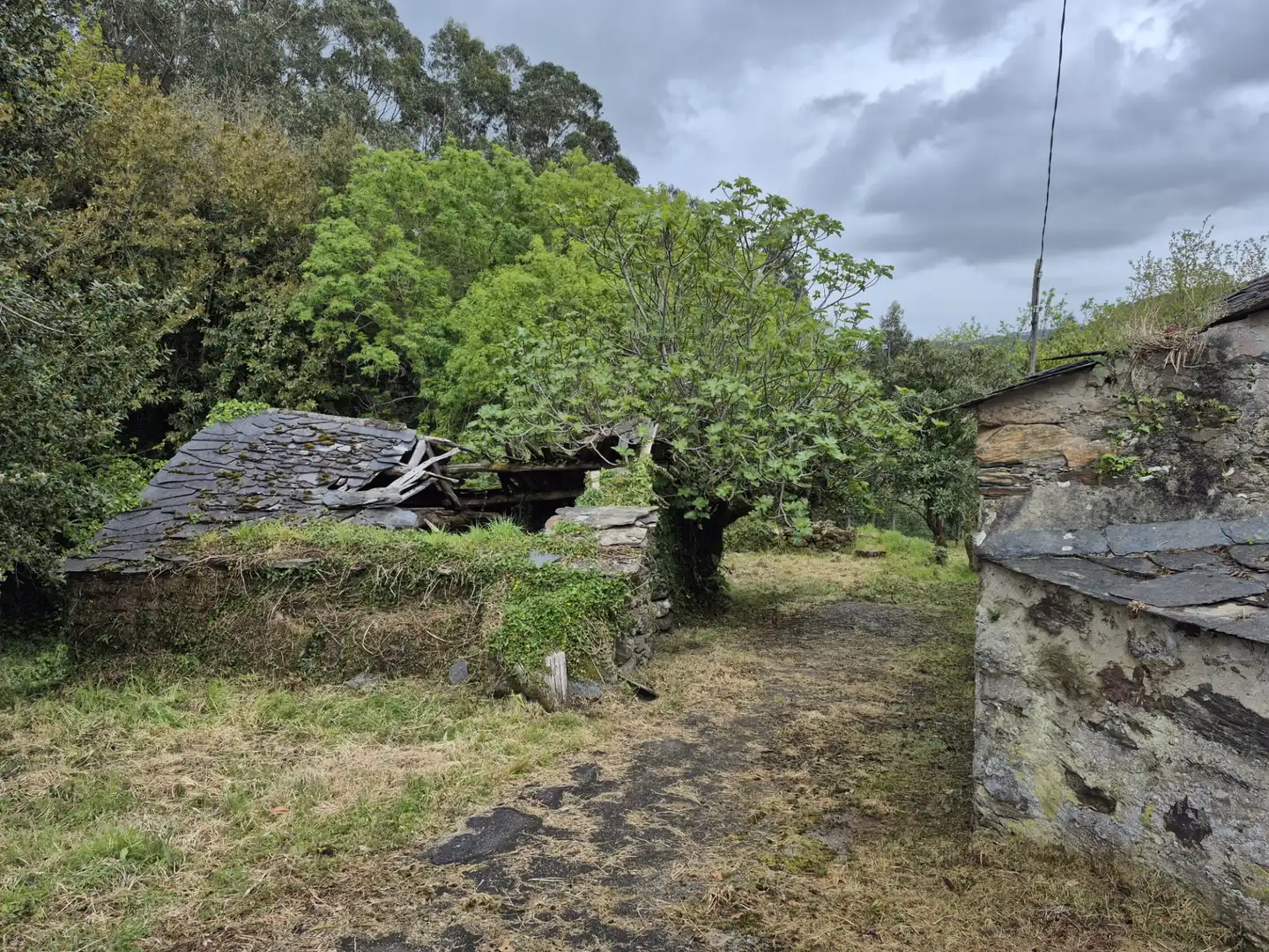 Vista exterior de Finca rústica en venta en As Somozas  con Jardín privado
