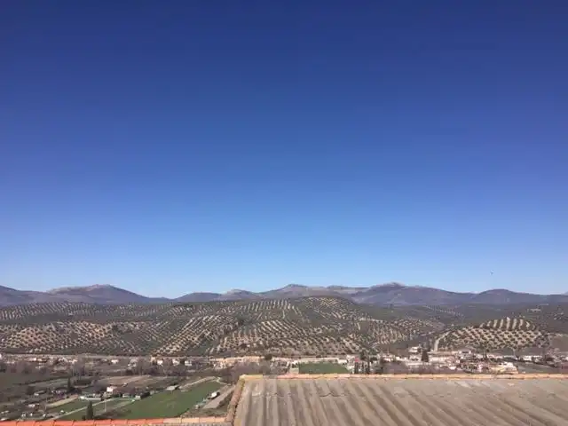 Vista exterior de Casa o chalet en venta en Deifontes con Jardín privado, Terraza y Trastero