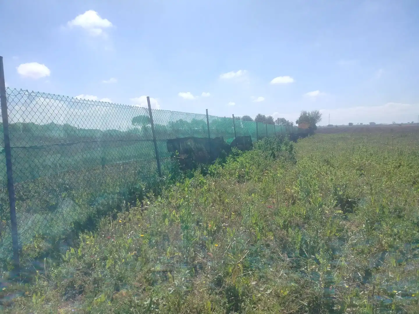 Grundstücke zum Verkauf in Rota