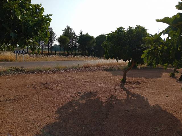 Terreno en Venta en Carretera Manchita, 250 en Guareña