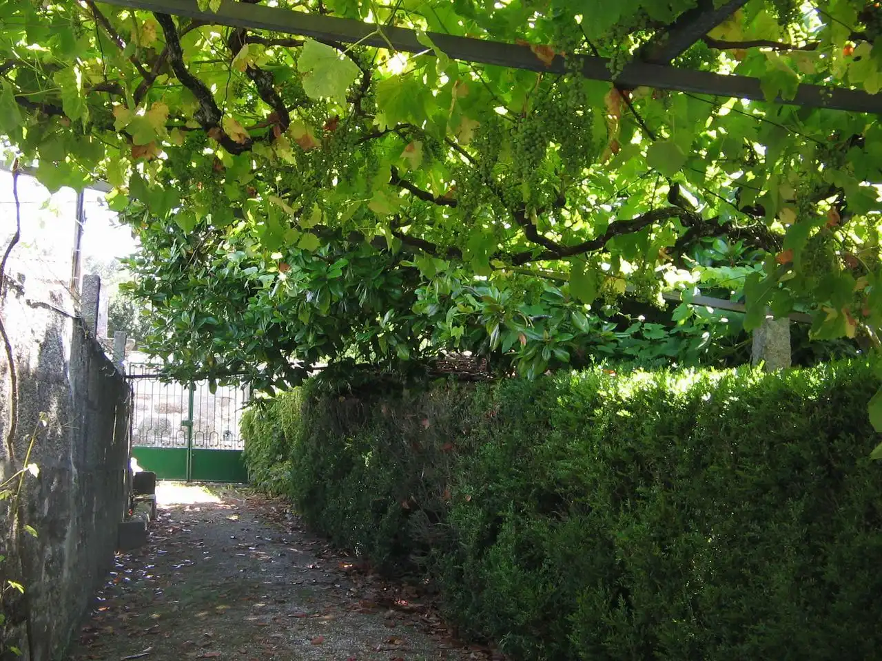 Jardí de Casa o xalet en venda en Vigo  amb Calefacció, Jardí privat i Terrassa