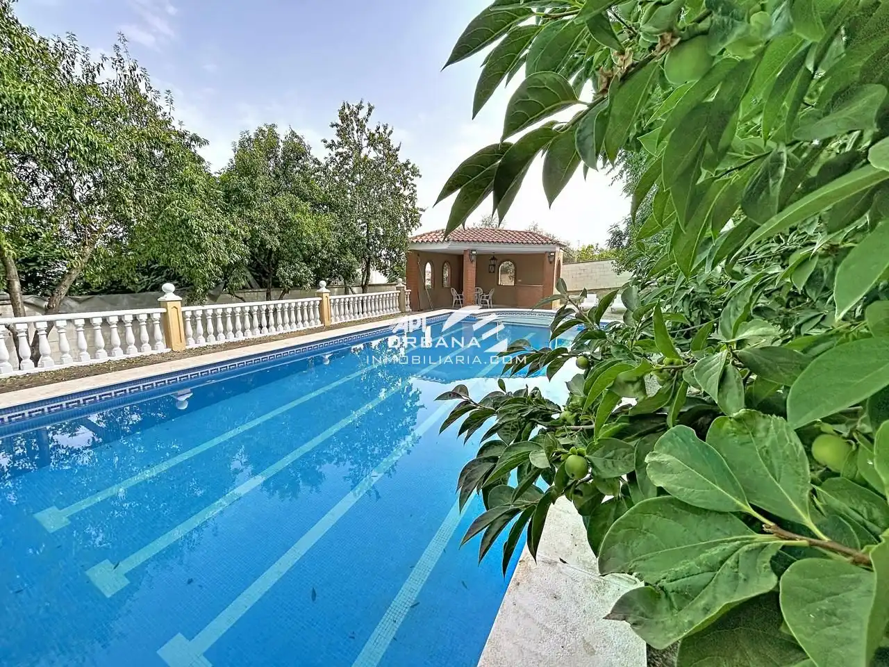 Piscina de Casa o chalet en venta en Lucena con Aire acondicionado, Jardín privado y Terraza
