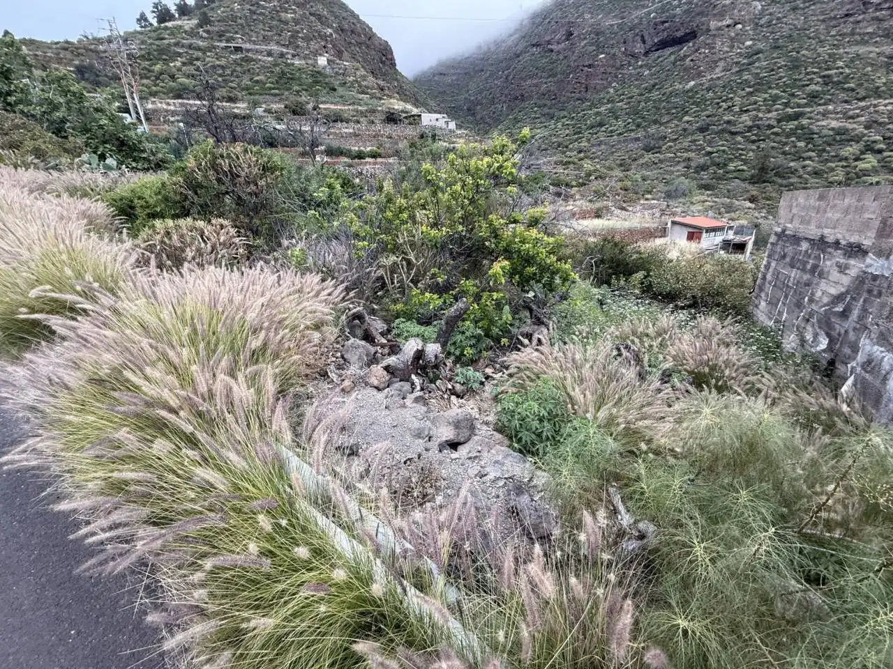 Residential land for sale in Calle Morrita, imagen 4