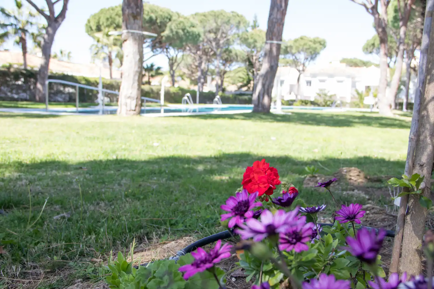 Jardí de Apartament en venda en Chiclana de la Frontera amb Jardí privat, Moblat i Rentadora