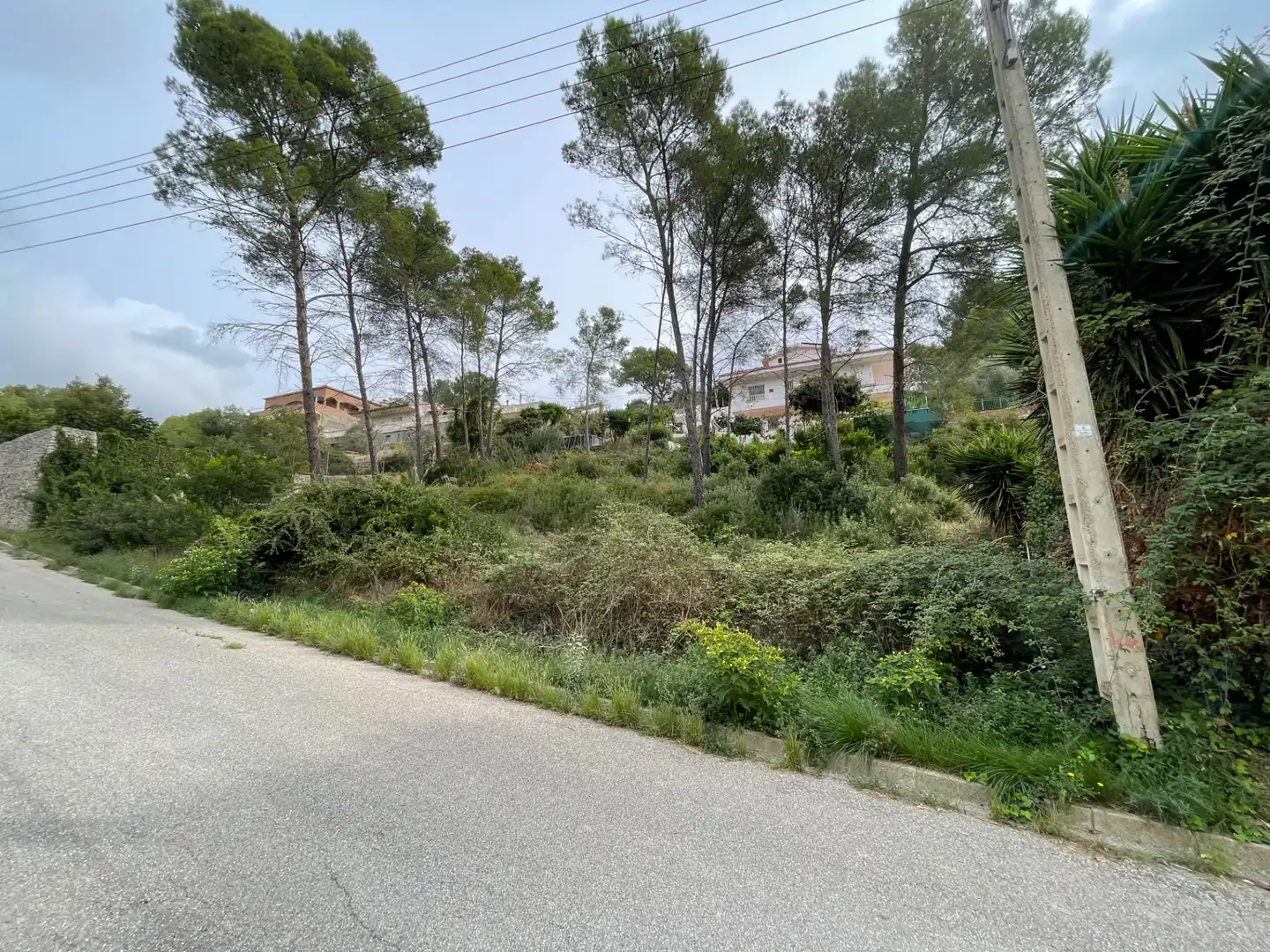 Terreny residencial en venda a Carrer de l'Alzina 25, imagen 7