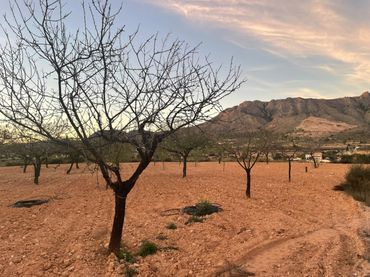 Terreno rustico in vendita a Abanilla - Paraje CHICAMO. LA SERRETILLA