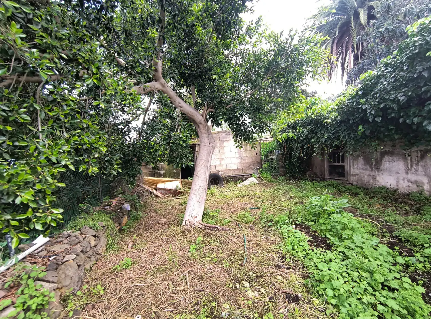 Houses for sale in La Orotava  with Private garden, Terrace and Storage room