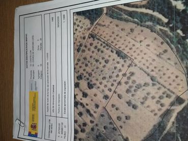 Terreny rústic en venda a Les Coves de Vinromà