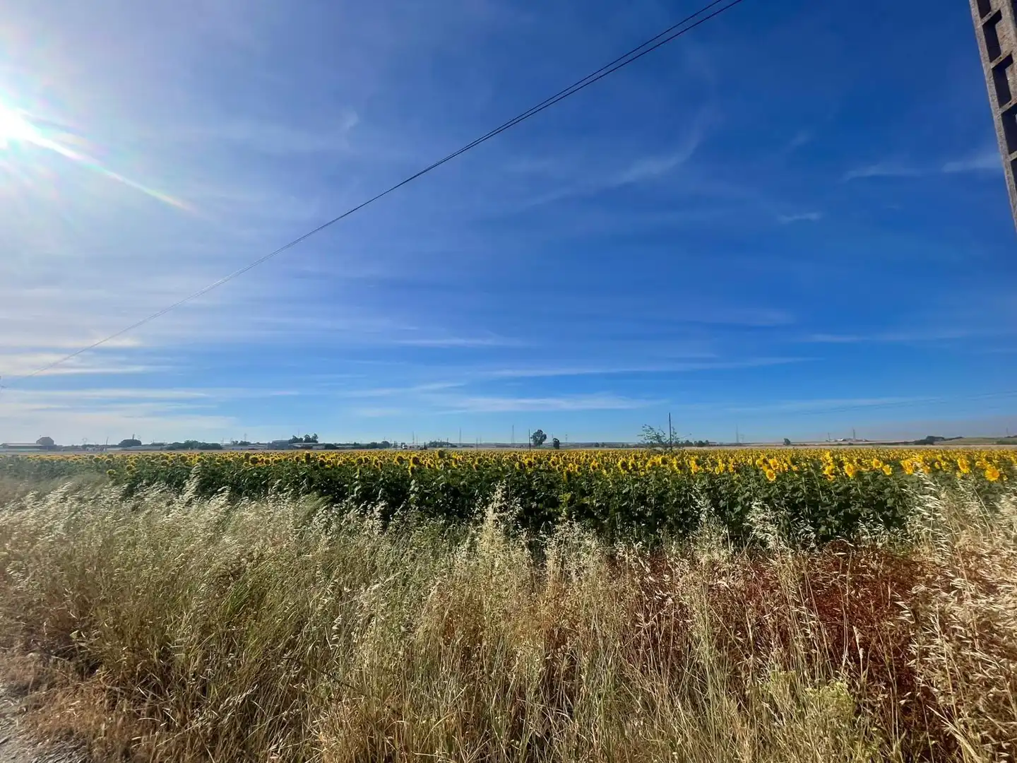 Land for sale in Huelva