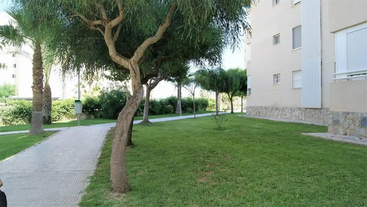 Apartament de lloguer a Calle del Músico José Mira Figueroa, imagen 24