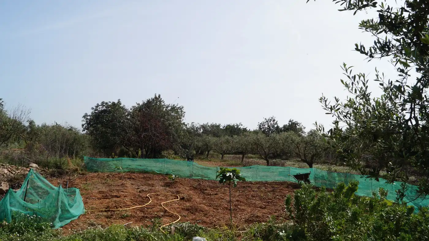 Terreno en venta en Torredembarra