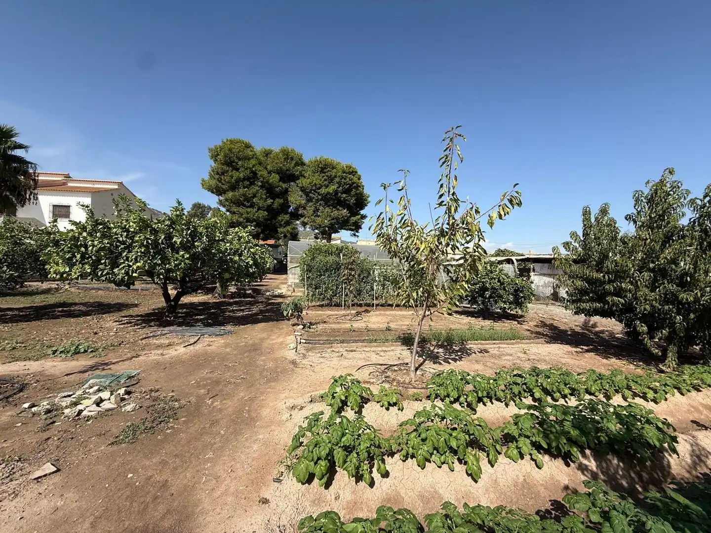 Villa con giardino in vendita a Lorca Ciudad, imagen 22